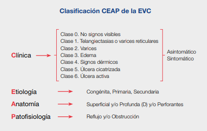 Clasificación CEAP